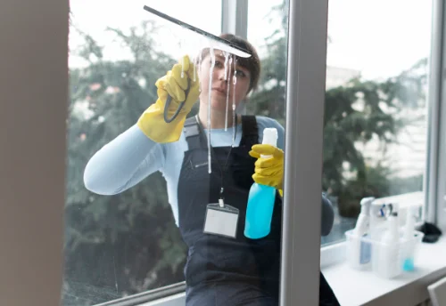 Nettoyage de vitres intérieures et extérieures à Viscomtat